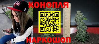 индика Малгобек